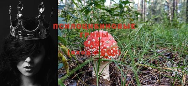 мескалин Беломорск