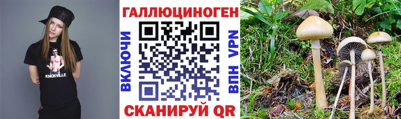 Галлюциногенные грибы Psilocybine cubensis даркнет сайт Уварово
